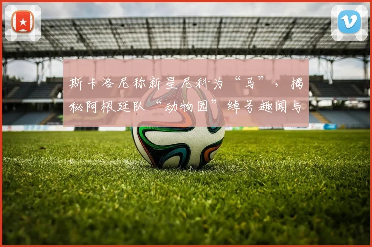 斯卡洛尼称新星尼科为“马”，揭秘阿根廷队“动物园”绰号趣闻与背后故事